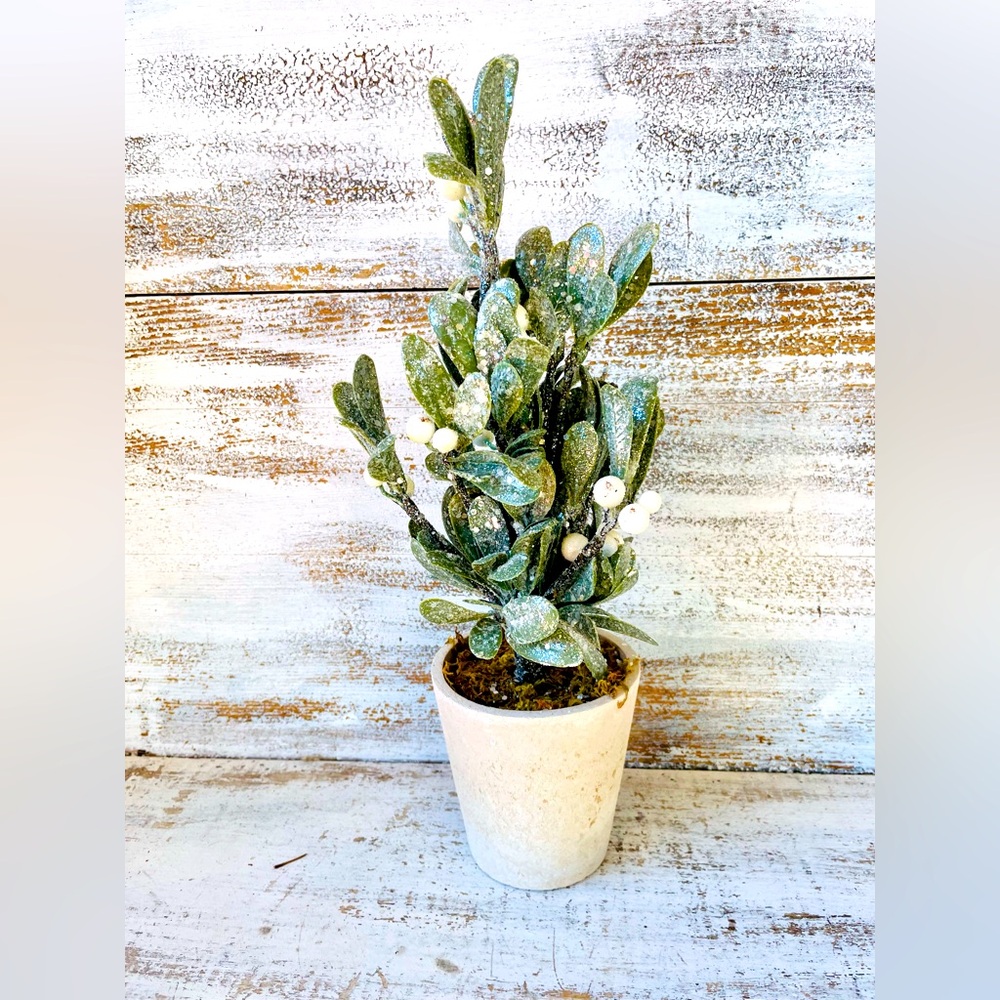 *Ice Kissed Potted Mistletoe Tree 15”